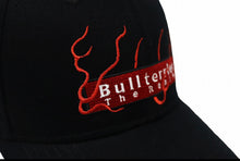 Load image into Gallery viewer, FUHAI SNAP BACK