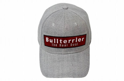 BULL TERRIER-BOX LOGO-SNAP BACK GREY