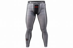 BULL TERRIER -TRADITIONAL - Long Spats Grey